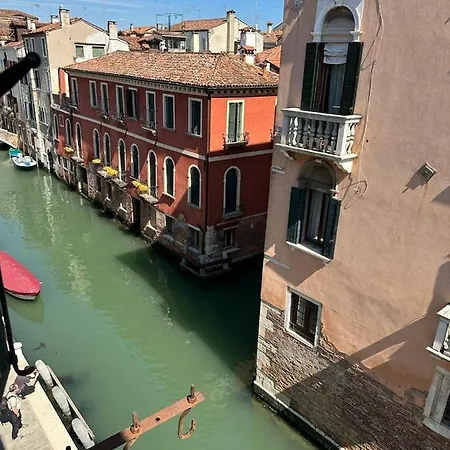 Rosa Venezia