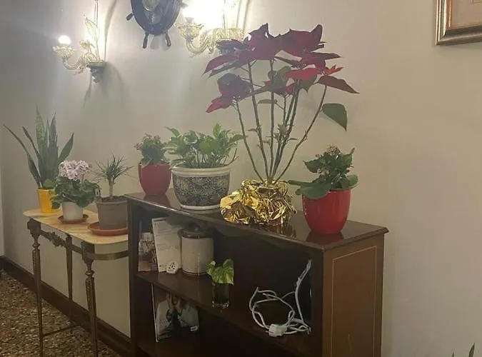 Rosa Casa de hóspedes *